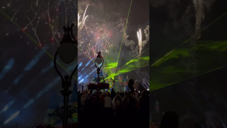 Disney World Fireworks Show (no edit) #disneyworldresort #expedia #fireworks #disney #noeditvideo