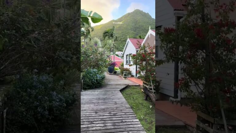 Have you heard of this island in the Caribbean? #traveldestination #travelinspo #beautifulplacestogo