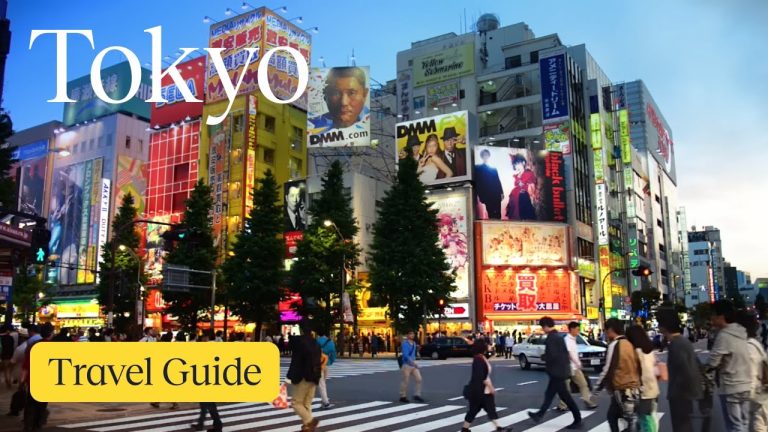 Ultimate Tokyo Travel Guide 2025: Shibuya, Harajuku & More! | Expedia